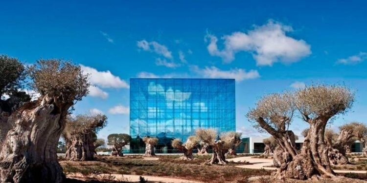 Imagen de Nota de Prensa