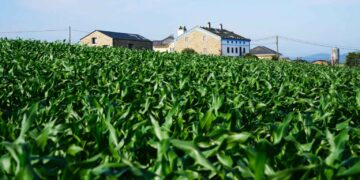 El Fondo de la Comunidad de Airbnb dona más de 2 millones de dólares a 28 organizaciones sin ánimo de lucro en Europa