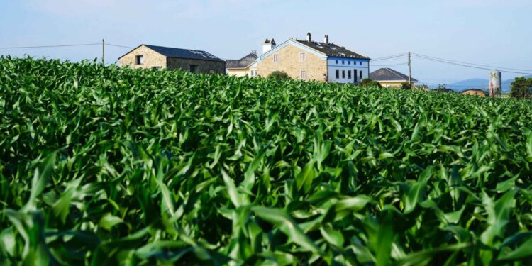 El Fondo de la Comunidad de Airbnb dona más de 2 millones de dólares a 28 organizaciones sin ánimo de lucro en Europa