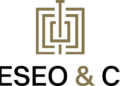 Teseo & Co. refuerza su accionariado y pasa a operar con marca propia